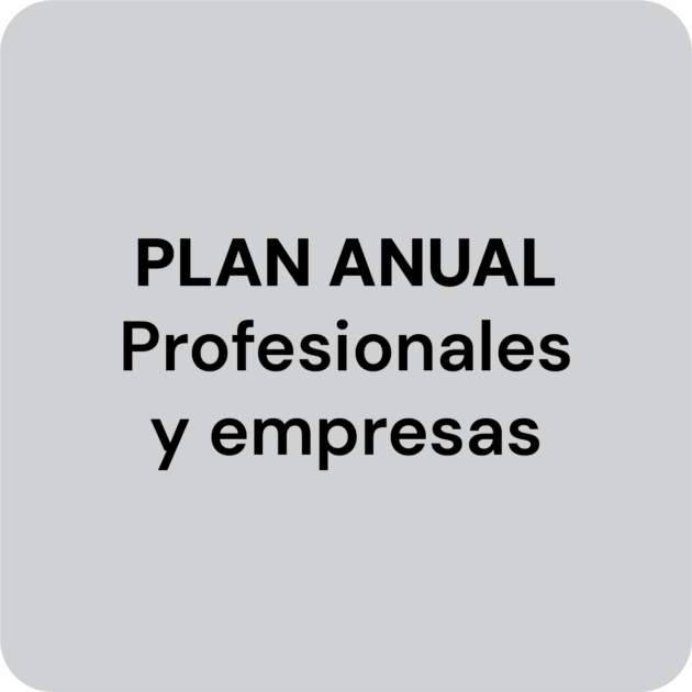 Plan anual profesionales y empresas